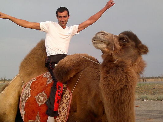  ,   ALAN, 45 ,   