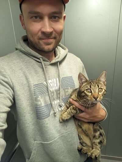  ,   , 36 ,   ,   , c , 