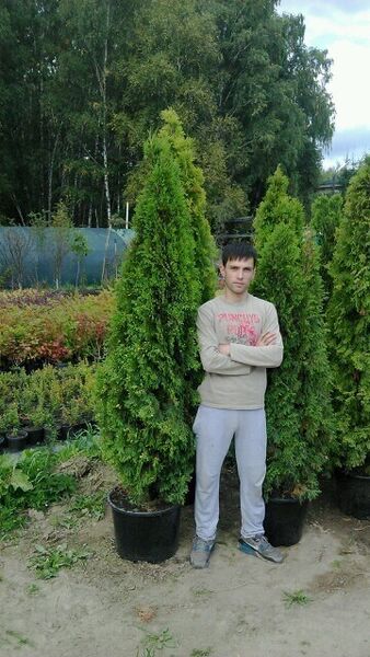  ,   Sattor, 32 ,     , c 