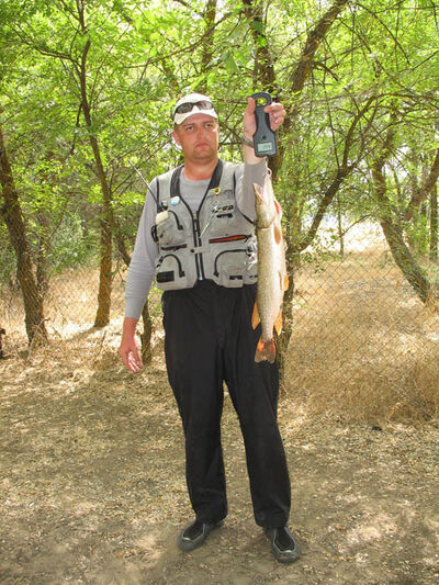  ,   Andrei, 48 ,   ,   , c , 