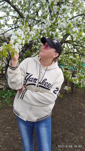  ,   MARVEL, 43 ,   ,   