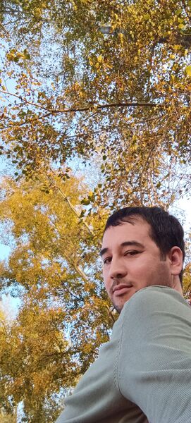  Ahrensburg,   Zakir, 31 ,   ,   
