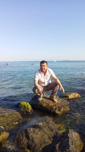  ,   ADI, 43 ,   ,   