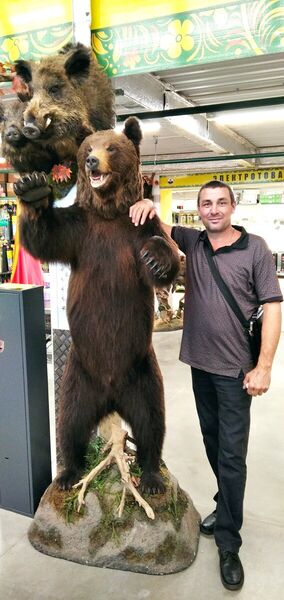  ,   , 53 ,   ,   , c 