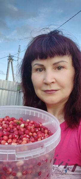 ,   , 55 ,   c 
