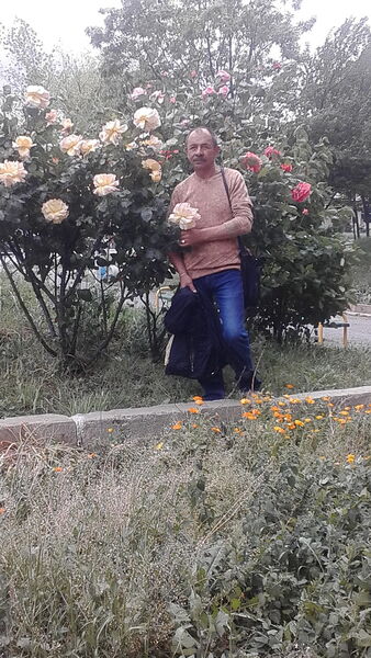 ,   , 62 ,   ,   , c , 