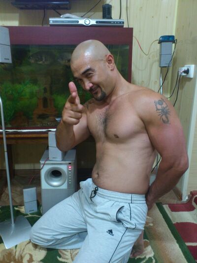 ,   Homa1181, 43 ,  
