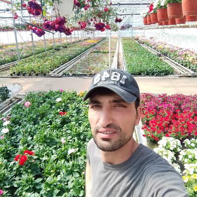   ,   Araz, 34 ,   ,   
