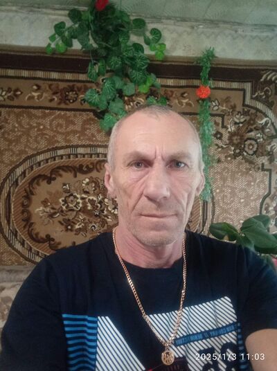  --,   , 55 ,   c , 