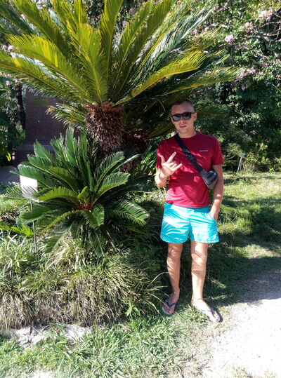  ,   Dima, 33 ,   ,   , c 
