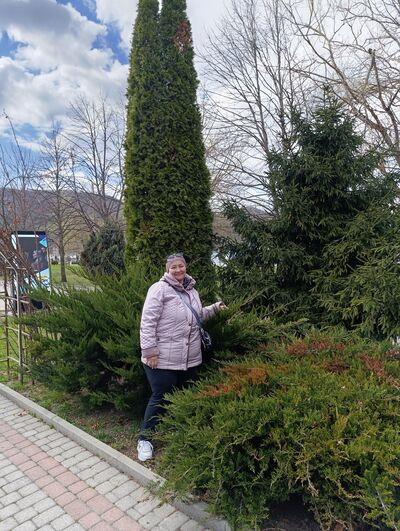  ,   , 65 ,   