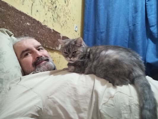  ,   , 47 ,   ,   