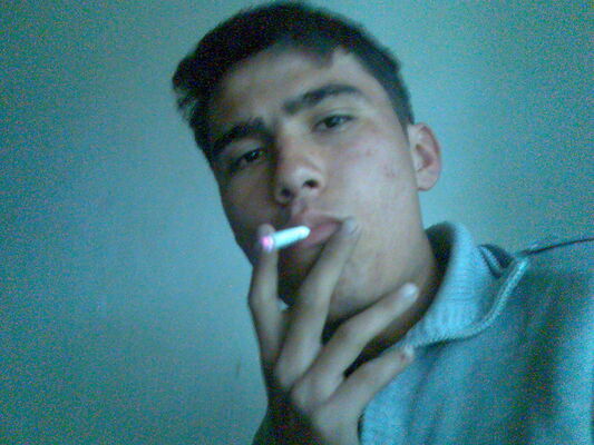  ,   Elbek, 29 ,   ,   , c 