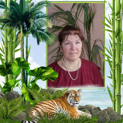  -,   , 70 ,   