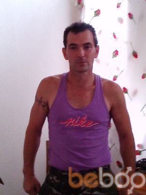  Worms,   , 53 ,   