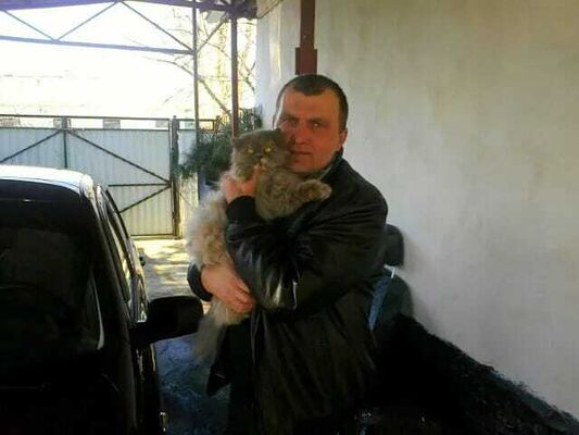  ,   , 49 ,   ,   , c , 