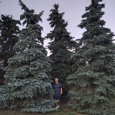  ,   , 62 ,   ,   