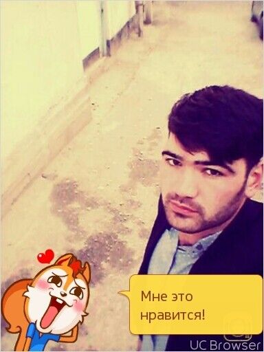  8677528  , 33 ,    -