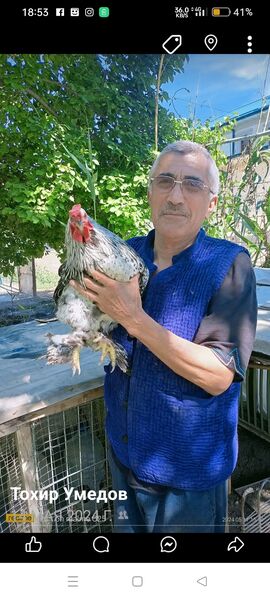  ,   , 62 ,   ,   