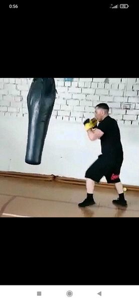  ,   , 46 ,   ,   