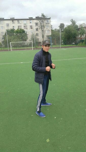  -,   , 38 ,   ,   , c 