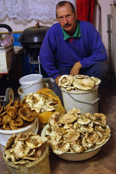  ,   , 66 ,   ,   , c 