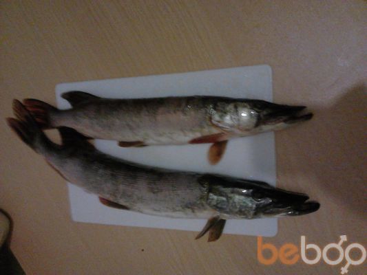  ,   PAVEL, 50 ,   