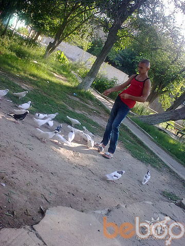  ,   Bakinec, 36 ,   ,   , c 