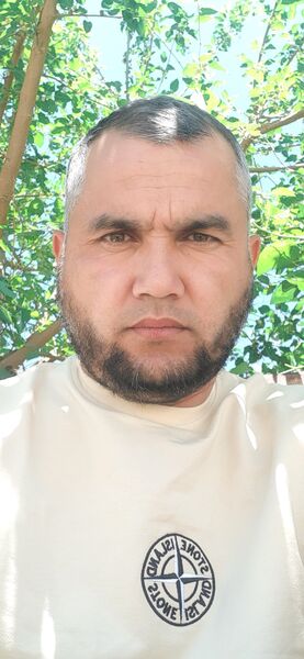  -,   , 38 ,   ,   