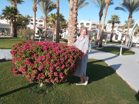  -,   , 42 ,   ,   , c , 