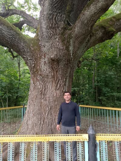  ,   , 43 ,   c 