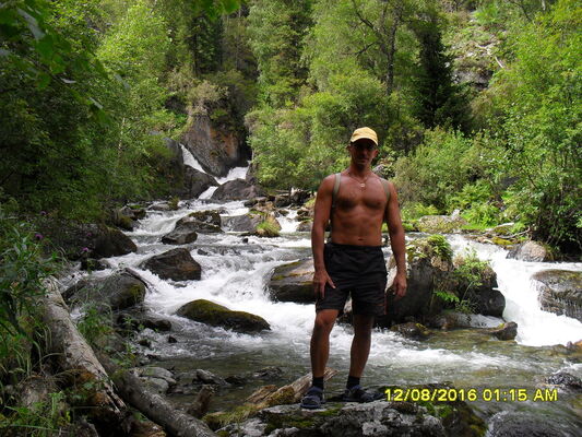  ,   Gartner, 53 ,   