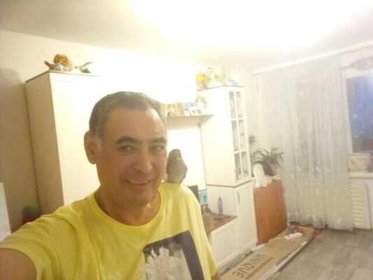 ,   , 54 ,   ,   