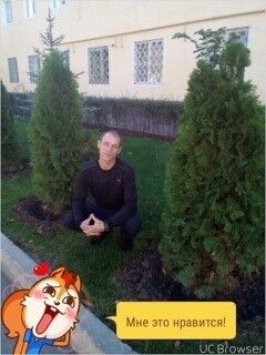  ,   , 44 ,  