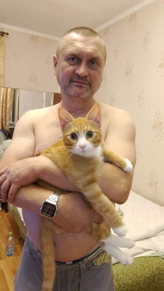  -,   , 53 ,   ,   