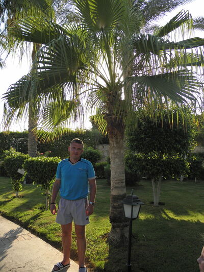  ,   Viktor, 44 ,     , c 