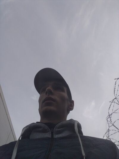  ,   VIPERSONA, 31 ,     , c 