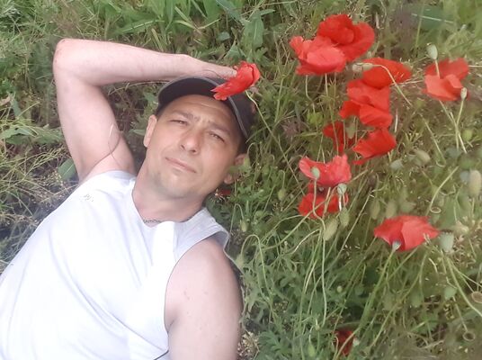  Allendorf,   , 53 ,   ,   , c , 