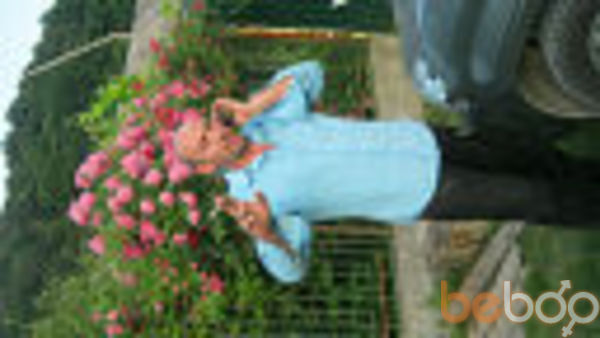  ,   , 54 ,   