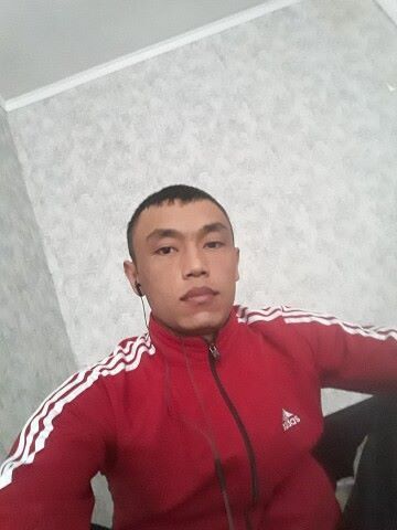   ,   , 33 ,   
