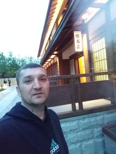  ,   , 43 ,   