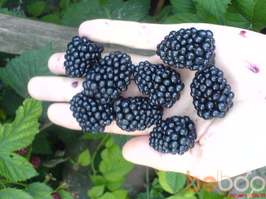  ,    k, 50 ,     , c 
