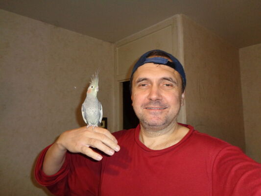  ,   , 52 ,   ,   , c 