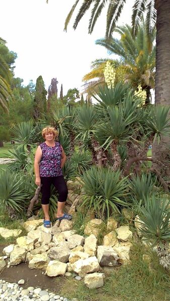  --,   , 67 ,   ,   , c 