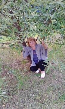 ���������� ������, ���� ������� ������, 60 ���, ������������ ��� ����� � ���������, c�������� ���������