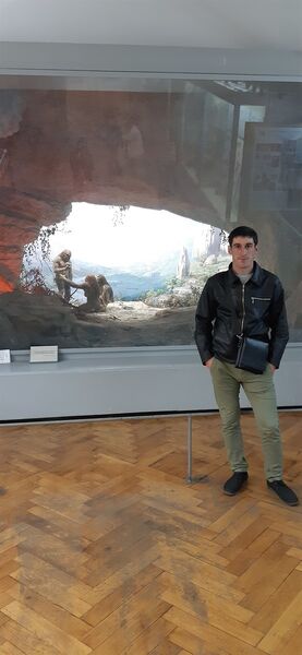  ,   Vaja, 37 ,   ,   , c 