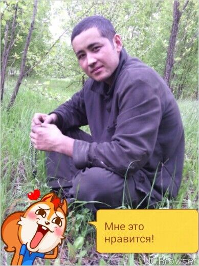 ���������� ���������, ���� ������� Woka, 33 ����, ������������ ��� ������, ����� � ���������, c�������� ���������