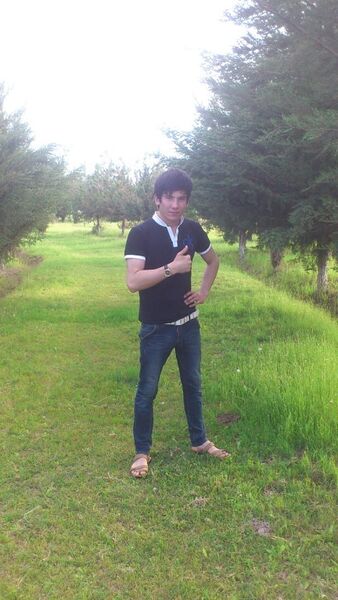  -,   MAKS 9494, 31 ,   