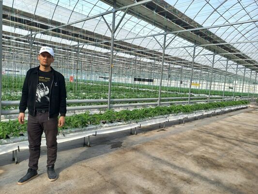  ,   Jasur, 25 ,   ,   