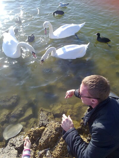  ,   DENIS, 44 ,  